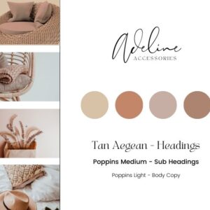 Brand Guidelines Development