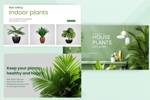 eCommerce Plant Shop Theme for Indoor, Outdoor & Exotic Plants