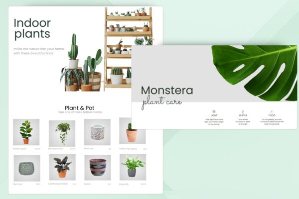 eCommerce Plant Shop Theme for Indoor, Outdoor & Exotic Plants - Image 3