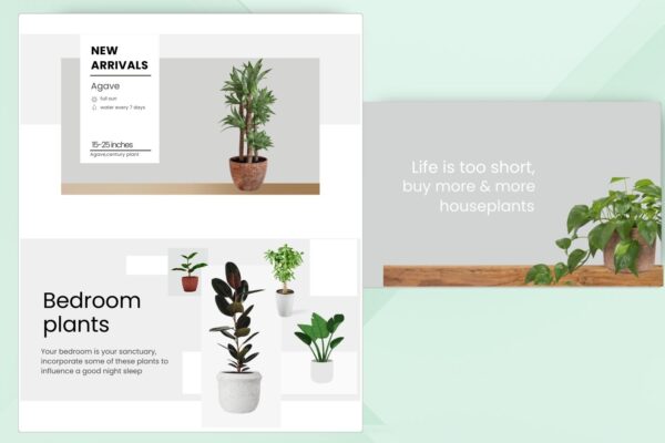eCommerce Plant Shop Theme for Indoor, Outdoor & Exotic Plants - Image 2
